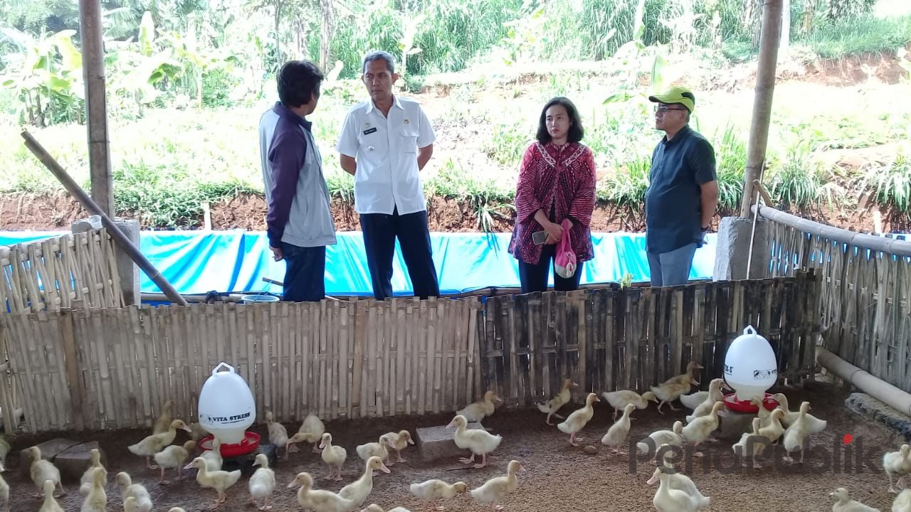 Camat Ciawi Bersama Formacip Akan Kembangkan Usaha Ternak Bebek Diwilayahnya Penapublik (1)