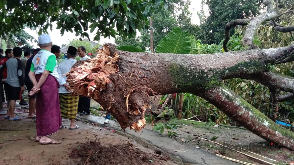 Disukamahi Megamendung Belasan Rumah Rusak Akibat Hujan Dan Angin Kencang1