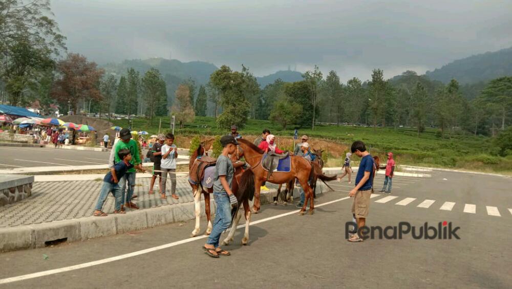 Bersepeda Dan Tunggang Kuda Jadi Favorit Pengunjung Rest Area Gunung Mas 1.jpg