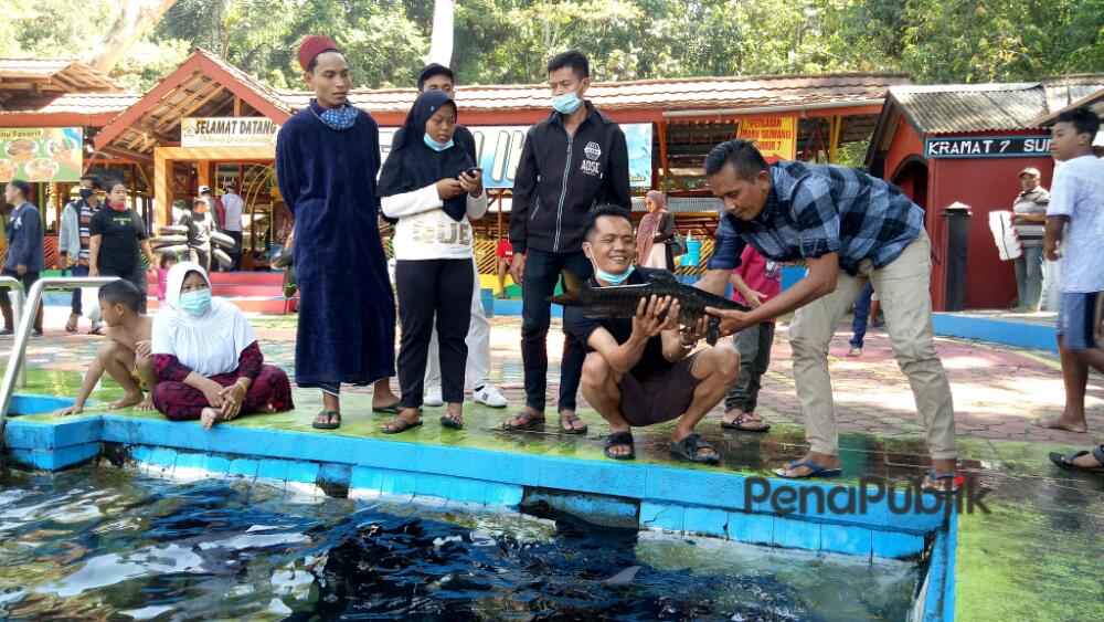 Fenomena Ikan Dewa Dan Tujuh Sumur Patilasan Prabu Siliwangi Yang Masih Terjaga Dikuningan Jawa Barat 1.jpg