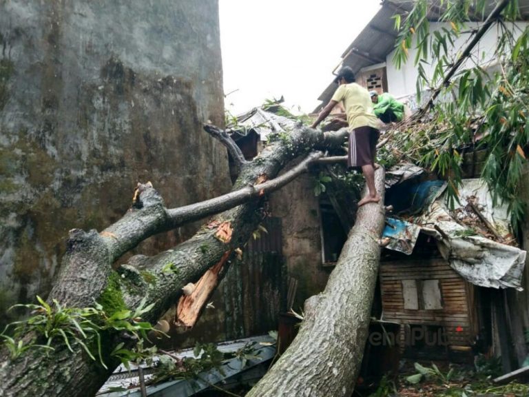 Pohon Tumbang Belasan Atap  Rumah Warga Kelurahan Cisarua 