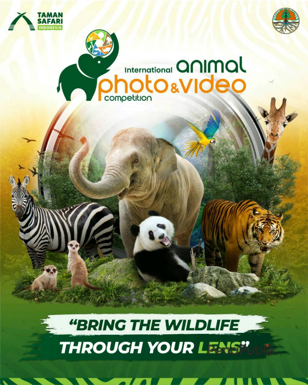 Taman-Safari-Indonesia-Kembali-Hadirkan-Lomba-Photo-dan-Video-Satwa-Skala-Internasional.jpg