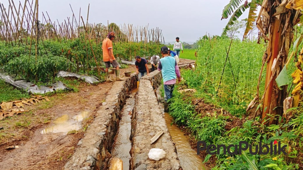 Puluhan Hektare Lahan Pertanian Di Desa Cileungsi Ciawi Dapat Kucuran P3 Tgai.jpg