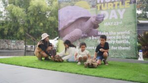 Peringati World Turtle Day: Kenalan dengan Kura-Kura di Reptile Island hanya di Royal Safari Garden Puncak