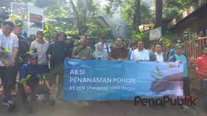 Peduli DAS Ciliwung, PLN Grup Bersama Komunitas Masyarakat Tanam Bibit Pohon Untuk Masa Depan